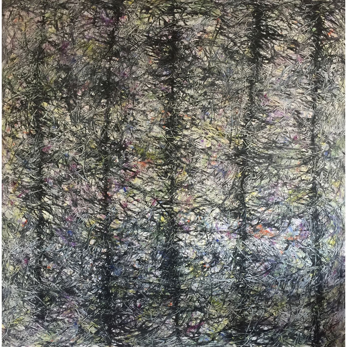 Marc Feld